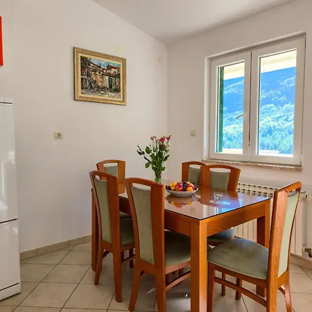 Ruza Apartment Svinisce