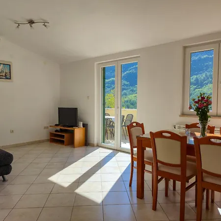 Ruza Apartment Svinisce